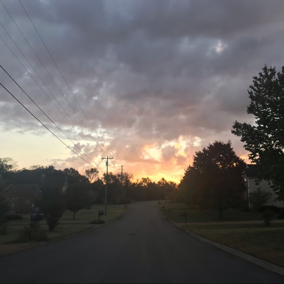 Meet your Posher, Annabeth - Picture 1 of 1